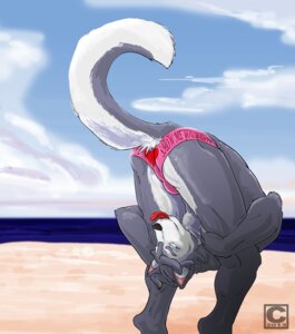 Rating: Questionable Score: 0 Tags: anthro bent_over blue_eyes canid canine canis clothed clothing domestic_dog e621 flexible fur grey_body grey_fur husky male mammal nordic_sled_dog profec skimpy solo speedo spitz swimwear tongue tongue_out topless User: bunchy7s Rating: Questionable Score: 0 Tags: anthro bent_over blue_eyes canid canine canis clothed clothing domestic_dog e621 flexible fur grey_body grey_fur husky male mammal nordic_sled_dog profec skimpy solo speedo spitz swimwear tongue tongue_out topless User: bunchy7s