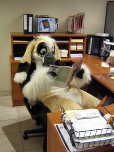 Rating: Safe Score: 0 Tags: anthro book bovid caprine clothing costume e621 female fursuit goat grandfathered_content horn latinvixen long_ears mammal office reading real solo User: bunchy7s Rating: Safe Score: 0 Tags: anthro book bovid caprine clothing costume e621 female fursuit goat grandfathered_content horn latinvixen long_ears mammal office reading real solo User: bunchy7s