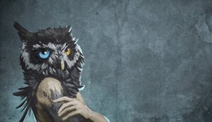 Rating: Safe Score: 0 Tags: absurd_res ambiguous_gender avian beak bird blackpassion777 e621 english_text feathers grey_body grey_feathers heterochromia hi_res huge_filesize human hybrid looking_at_viewer mammal owl solo text wallpaper yellow_beak User: bunchy7s