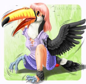 Rating: Questionable Score: 0 Tags: 2006 4_toes anisodactyl avian avian_feet beak bird bodily_fluids breasts broken_language claws clothed clothing e621 edmol english_text feathered_wings feathers feet female feral_transformation hair human human_to_feral mammal non-mammal_breasts open_mouth piciform pink_hair shirt solo species_transformation tears text toco_toucan toes topwear torn_clothing toucan transformation true_toucan underwear wings User: bunchy7s
