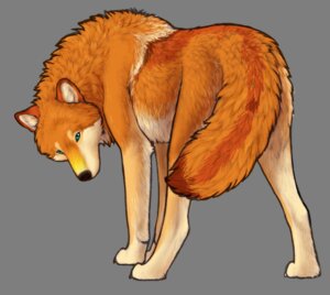 Rating: Safe Score: 0 Tags: 2010 alpha_channel autie_(autumn_sunrise) autumn_sunrise black_nose blue_eyes butt canid canine canis e621 female female_(lore) feral fur looking_at_viewer mammal orange_body orange_fur presenting presenting_hindquarters quadruped simple_background solo tail transparent_background white_body white_fur wolf User: bunchy7s