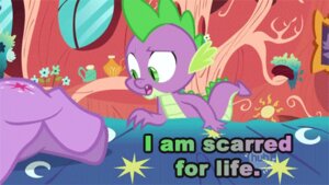 Rating: Questionable Score: 0 Tags: 16:9 2d_animation animated animated_gif dragon duo e621 equid equine female friendship_is_magic fur green_eyes hasbro horse low_res male mammal maximillianveers my_little_pony mythological_creature mythological_scalie mythology pony purple_body purple_fur scalie scarred_for_life sex_education short_playtime spike_(mlp) tail twilight_sparkle_(mlp) widescreen User: bunchy7s