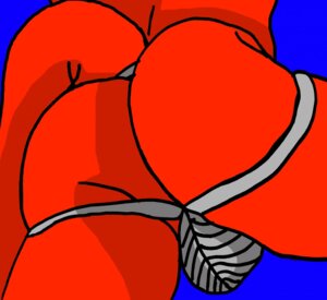 Rating: Questionable Score: 0 Tags: 2012 alexander13wolf anthro blue_background butt butt_shot close-up clothing e621 jockstrap male nintendo scalie simple_background solo tail underwear User: bunchy7s