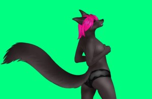 Rating: Safe Score: 0 Tags: abitfur4u animated animated_gif anthro canid canine canis clothing e621 female hair how_it's_done jenwolf mammal panties pink_hair short_playtime solo steps tail underwear wolf User: bunchy7s