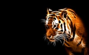 Rating: Safe Score: 0 Tags: 16:10 abstract_art ambiguous_gender black_background e621 felid feral glowing mammal pantherine simple_background solo stripes tiger unknown_artist wallpaper whiskers widescreen User: bunchy7s Rating: Safe Score: 0 Tags: 16:10 abstract_art ambiguous_gender black_background e621 felid feral glowing mammal pantherine simple_background solo stripes tiger unknown_artist wallpaper whiskers widescreen User: bunchy7s