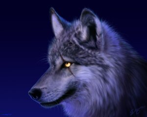Rating: Safe Score: 0 Tags: 2004 5:4 ambiguous_gender black_body black_fur black_lips black_nose blue_background blue_theme bust_portrait canid canine canis cool_colors digital_media_(artwork) digital_painting_(artwork) e621 eye_scar facial_scar feral fur glistening gradient_background grey_body grey_fur inner_ear_fluff lips long_mouth looking_up mammal nick_deligaris night no_sclera northwestern_wolf painting_(artwork) portrait scar shadow side_view signature simple_background snout solo tuft whiskers white_body white_fur wolf yellow_eyes User: bunchy7s