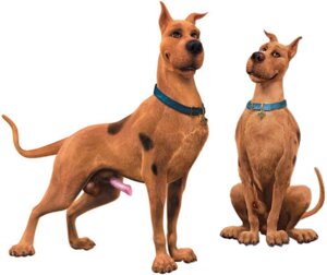 Rating: Explicit Score: 0 Tags: 3d_(artwork) animal_genitalia balls canid canine canis collar digital_media_(artwork) domestic_dog e621 erection feral genitals great_dane hanna-barbera male mammal mastiff molosser nude penis penis_tip quadruped realistic_feral realistic_lighting realistic_shading scooby-doo scooby-doo_(series) sheath solo tail unknown_artist User: bunchy7s