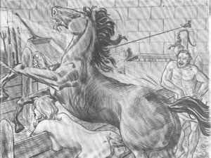 Rating: Explicit Score: 0 Tags: 4:3 anal anal_penetration bestiality breasts e621 equid equine erection female female_on_feral feral genitals graphite_(artwork) group horse human human_on_feral interspecies male male/female mammal monochrome penetration penis quadruped sex tail traditional_media_(artwork) unknown_artist vulva User: bunchy7s