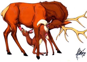 Rating: Explicit Score: 0 Tags: anus cervid cervine deer doe elk female feral interspecies klaus_doberman male penis rule34 tagme User: bunchy7s Rating: Explicit Score: 0 Tags: anus cervid cervine deer doe elk female feral interspecies klaus_doberman male penis rule34 tagme User: bunchy7s