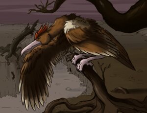 Rating: Safe Score: 0 Tags: ambiguous_gender avian beak bird cave cloud desolate e621 fearow feathered_crest feathered_wings feathers feet feral generation_1_pokemon head_crest manlyshark night nintendo outside plant pokemon pokemon_(species) rock solo standing talons toes tree valley wings User: bunchy7s