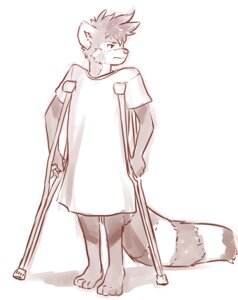 Rating: Safe Score: 0 Tags: 2012 ailurid anthro aogami barefoot biped clothed clothing crutch e621 feet hair male mammal medical_instrument monochrome paws red_panda scientific_instrument simple_background solo standing tail white_background User: bunchy7s Rating: Safe Score: 0 Tags: 2012 ailurid anthro aogami barefoot biped clothed clothing crutch e621 feet hair male mammal medical_instrument monochrome paws red_panda scientific_instrument simple_background solo standing tail white_background User: bunchy7s