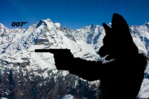 Rating: Safe Score: 0 Tags: 007 3:2 ambiguous_gender anthro canid canine clothing costume e621 fox fursuit grandfathered_content gun holding_gun holding_object holding_ranged_weapon holding_weapon james_bond mammal mountain outside photography_(artwork) ranged_weapon real scribblefox shadow snow solo weapon User: bunchy7s