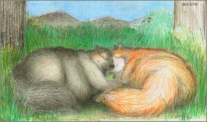 Rating: Safe Score: 0 Tags: 1998 bd canid canine canis cuddling detailed detailed_background domestic_dog duo e621 feral fox male male/male mammal overweight tail toony User: bunchy7s