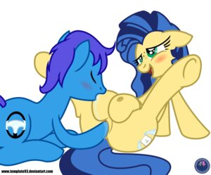Rating: Explicit Score: 0 Tags: absurd_res blush cutie_mark duo e621 earth_pony equid equine fan_character female feral genitals hasbro hi_res horse mammal milky_way_(flash_equestria) my_little_pony open_mouth pony spread_legs spreading tail teats template93 vaginal vulva User: bunchy7s