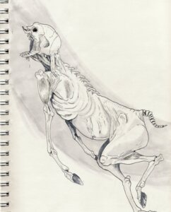 Rating: Safe Score: 0 Tags: ambiguous_gender bone creepy e621 emaciated equid equine greyscale hooves horse kitsubaka mammal monochrome notebook simple_background skull solo traditional_media_(artwork) undead what white_background zombie User: bunchy7s Rating: Safe Score: 0 Tags: ambiguous_gender bone creepy e621 emaciated equid equine greyscale hooves horse kitsubaka mammal monochrome notebook simple_background skull solo traditional_media_(artwork) undead what white_background zombie User: bunchy7s