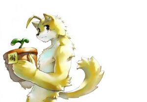 Rating: Safe Score: 0 Tags: anthro biceps black_nose brown_body brown_eyes brown_fur canid canine canis domestic_dog e621 frown fur japanese_text male mammal muscular muscular_anthro muscular_male nude plant sapling simple_background solo tail text uleezoo white_background white_body white_fur User: bunchy7s