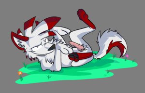 Rating: Explicit Score: 0 Tags: 1boy alpha_channel canine canine_penis feral knot male male_only penis rule34 solo transparent_background wolf zuzz User: bunchy7s