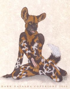 Rating: Explicit Score: 0 Tags: 2000 african_wild_dog anthro armband balls biped canid canine dark_natasha e621 english_text erection genitals humanoid_genitalia humanoid_penis looking_at_viewer male mammal nude penis pose signature simple_background solo tail text traditional_media_(artwork) User: bunchy7s Rating: Explicit Score: 0 Tags: 2000 african_wild_dog anthro armband balls biped canid canine dark_natasha e621 english_text erection genitals humanoid_genitalia humanoid_penis looking_at_viewer male mammal nude penis pose signature simple_background solo tail text traditional_media_(artwork) User: bunchy7s