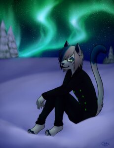 Rating: Safe Score: 0 Tags: anthro aurora_(phenomenon) biped black_bottomwear black_clothing black_jeans black_pants blue_body blue_fur blue_markings bottomwear chiroina chyo clothed clothing denim denim_bottomwear denim_clothing detailed_background dipstick_tail domestic_cat e621 eyewear felid feline felis full-length_portrait fully_clothed fur glasses hi_res humanoid_hands jeans male mammal markings multicolored_tail nature night outside pants pea_coat portrait sitting sky skye_frost snow solo star tail tail_markings white_body white_fur User: bunchy7s