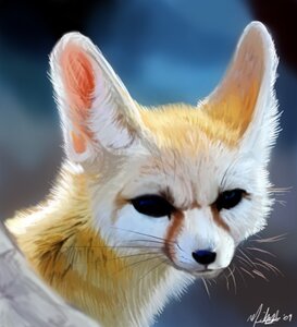 Rating: Safe Score: 0 Tags: 2009 ambiguous_gender canid canine darksilver digital_media_(artwork) digital_painting_(artwork) e621 fennec_fox feral fox low_res mammal painting_(artwork) solo true_fox User: bunchy7s Rating: Safe Score: 0 Tags: 2009 ambiguous_gender canid canine darksilver digital_media_(artwork) digital_painting_(artwork) e621 fennec_fox feral fox low_res mammal painting_(artwork) solo true_fox User: bunchy7s