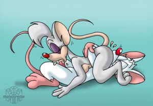 Rating: Explicit Score: 0 Tags: 69_position animaniacs anthro billie_(pinky_and_the_brain) black_eyes blue_background bodily_fluids brainsister cum cumshot duo e621 ejaculation erection facesitting fellatio female female_facesitting_male female_penetrated fur genital_fluids genitals gradient_background house_mouse male male/female male_penetrating male_penetrating_female mammal mouse murid murine oral oral_penetration orgasm penetration penile penis pinky_(warner_brothers) pinky_and_the_brain rodent sex simple_background sitting sitting_on_another tail tan_body tan_fur toony warner_brothers white_body white_fur User: bunchy7s
