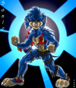Rating: Safe Score: 0 Tags: abs anthro biped black-rat blue_body blue_fur bottomwear clothing e621 eulipotyphlan footwear fur hedgehog male mammal muscular muscular_anthro muscular_male pants sega shirt shoes solo sonic_the_hedgehog sonic_the_hedgehog_(series) teeth tf_into_fictional_character topwear transformation User: bunchy7s