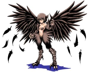 Rating: Questionable Score: 0 Tags: animal_humanoid avian breasts e621 european_mythology feathered_wings feathers feet female greek_mythology harpy humanoid looking_at_viewer mythological_avian mythological_creature mythology nipples nude simple_background solo talons toes unknown_artist white_background winged_humanoid wings User: bunchy7s