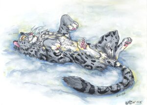 Rating: Safe Score: 0 Tags: 2006 ambiguous_gender digitigrade e621 felid feral jc_(artist) leopard_spots lying mammal nude on_back outside pantherine quadruped snow snow_leopard solo spots tail User: bunchy7s Rating: Safe Score: 0 Tags: 2006 ambiguous_gender digitigrade e621 felid feral jc_(artist) leopard_spots lying mammal nude on_back outside pantherine quadruped snow snow_leopard solo spots tail User: bunchy7s