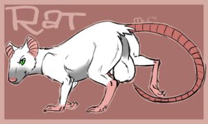 Rating: Explicit Score: 0 Tags: balls big_balls claws digitigrade e621 fancy_rat feral fur genitals green_eyes male mammal mrchocolate murid murine pink_nose quadruped rat rodent simple_background smile smirk solo tail white_body white_fur User: bunchy7s Rating: Explicit Score: 0 Tags: balls big_balls claws digitigrade e621 fancy_rat feral fur genitals green_eyes male mammal mrchocolate murid murine pink_nose quadruped rat rodent simple_background smile smirk solo tail white_body white_fur User: bunchy7s