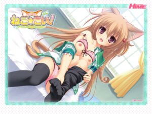 Rating: Explicit Score: 0 Tags: animal_ear blush bra breasts cameltoe female lingerie panties pussy rule34 tail underwear User: bunchy7s Rating: Explicit Score: 0 Tags: animal_ear blush bra breasts cameltoe female lingerie panties pussy rule34 tail underwear User: bunchy7s