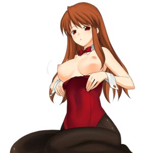 Rating: Explicit Score: 0 Tags: a1_(initial-g) asahina_mikuru breasts bunny_girl bunnysuit clothing female long_hair medium_breasts open_clothes open_shirt pantyhose pointy_chin rule34 shirt suzumiya_haruhi_no_yuuutsu User: bunchy7s