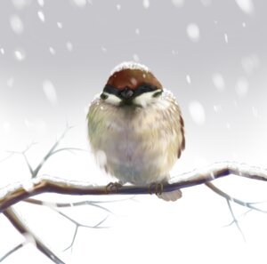 Rating: Safe Score: 0 Tags: ambiguous_gender avian beak bird black_body black_feathers branch brown_body brown_feathers e621 eurasian_tree_sparrow eyes_closed feathers feral in_tree on_branch oscine outside passerine plant realistic restricted_palette shoudoubutsu sitting snow solo sparrow tree winter wood User: bunchy7s Rating: Safe Score: 0 Tags: ambiguous_gender avian beak bird black_body black_feathers branch brown_body brown_feathers e621 eurasian_tree_sparrow eyes_closed feathers feral in_tree on_branch oscine outside passerine plant realistic restricted_palette shoudoubutsu sitting snow solo sparrow tree winter wood User: bunchy7s