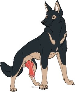 Rating: Explicit Score: 0 Tags: 2010 anatomically_correct anatomically_correct_genitalia anatomically_correct_penis animal_genitalia animal_penis balls barkwoof bodily_fluids brown_eyes canid canine canine_genitalia canine_penis canis claws cum domestic_dog dripping e621 erection feral genital_fluids genitals german_shepherd herding_dog knot looking_at_viewer male mammal pastoral_dog penis quadruped simple_background smile solo streetdog tail white_background User: bunchy7s Rating: Explicit Score: 0 Tags: 2010 anatomically_correct anatomically_correct_genitalia anatomically_correct_penis animal_genitalia animal_penis balls barkwoof bodily_fluids brown_eyes canid canine canine_genitalia canine_penis canis claws cum domestic_dog dripping e621 erection feral genital_fluids genitals german_shepherd herding_dog knot looking_at_viewer male mammal pastoral_dog penis quadruped simple_background smile solo streetdog tail white_background User: bunchy7s