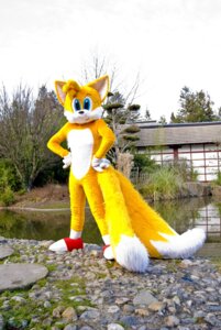 Rating: Safe Score: 0 Tags: 2_tails anthro canid canine clothing cloud costume e621 fox fursuit garden grandfathered_content hi_res male mammal miles_prower mixed_media multi_tail nature outside photo_background photography_(artwork) real sega sky solo sonic_the_hedgehog_(series) tail unknown_artist water User: bunchy7s Rating: Safe Score: 0 Tags: 2_tails anthro canid canine clothing cloud costume e621 fox fursuit garden grandfathered_content hi_res male mammal miles_prower mixed_media multi_tail nature outside photo_background photography_(artwork) real sega sky solo sonic_the_hedgehog_(series) tail unknown_artist water User: bunchy7s