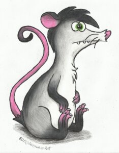 Rating: Safe Score: 0 Tags: 2013 3_fingers 3_toes american_opossum black_hair claws e621 feet feral fingers frown fur green_eyes grey_body grey_fur hair hi_res male mammal marsupial nude pink_body pink_nose pink_skin raised_tail rarewarerat short_hair side_view simple_background sitting solo tail teeth toes toony virginia_opossum whiskers white_background white_body white_fur User: bunchy7s