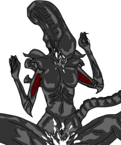 Rating: Explicit Score: 0 Tags: 1girls 2d alien_(franchise) female female_only female_xenomorph no_humans rule34 solo solo_female tagme xenomorph User: bunchy7s Rating: Explicit Score: 0 Tags: 1girls 2d alien_(franchise) female female_only female_xenomorph no_humans rule34 solo solo_female tagme xenomorph User: bunchy7s