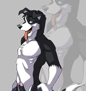 Rating: Explicit Score: 0 Tags: anthro blue_eyes border_collie canid canine canis collie digital_media_(artwork) domestic_dog e621 erection genitals herding_dog jailbird male mammal pastoral_dog penis shaded sheepdog solo tail third-party_edit tongue User: bunchy7s Rating: Explicit Score: 0 Tags: anthro blue_eyes border_collie canid canine canis collie digital_media_(artwork) domestic_dog e621 erection genitals herding_dog jailbird male mammal pastoral_dog penis shaded sheepdog solo tail third-party_edit tongue User: bunchy7s