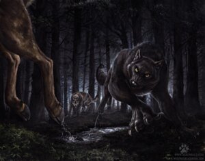Rating: Safe Score: 0 Tags: ambiguous_gender black_body black_fur blotch canid canine canis chasing claws creek deer detailed_background e621 feet feral fog forest fur grass group hindpaw hooves hunting leaf light mammal mythological_canine mythological_creature mythology nature nude outside pawpads paws plant puddle river splash text tree url water werecanid werecanine werecreature werewolf werewolf_calendar wolf yellow_eyes User: bunchy7s