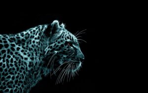 Rating: Safe Score: 0 Tags: 16:10 ambiguous_gender blue_body blue_fur e621 felid feral fractals fur ghost grandfathered_content hi_res jeremy_buff leopard leopard_spots mammal markings pantherine red_eyes solo spirit spots spotted_body spotted_fur undead wallpaper whiskers widescreen User: bunchy7s