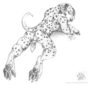 Rating: Explicit Score: 0 Tags: 2007 animal_genitalia animal_penis anthro backsack balls blotch butt canid canine canine_genitalia canine_penis canis dalmatian domestic_dog e621 erection feet genitals greyscale hindpaw knot male mammal monochrome nude paws penis scratches_volume_1 sketch solo tail traditional_media_(artwork) User: bunchy7s