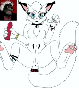 Rating: Explicit Score: 0 Tags: anthro blackwolf collar domestic_cat e621 felid feline felis female genitals hi_res mammal sex_toy solo tail vulva User: bunchy7s