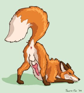 Rating: Explicit Score: 0 Tags: 2002 all_fours animal_genitalia animal_penis anus ass_up backsack balls butt canid canine canine_genitalia canine_penis e621 erection feral fox genitals knot male mammal mooning nude penis presenting presenting_hindquarters raised_tail red_fox sheath solo tail tail_anus taurin_fox true_fox User: bunchy7s Rating: Explicit Score: 0 Tags: 2002 all_fours animal_genitalia animal_penis anus ass_up backsack balls butt canid canine canine_genitalia canine_penis e621 erection feral fox genitals knot male mammal mooning nude penis presenting presenting_hindquarters raised_tail red_fox sheath solo tail tail_anus taurin_fox true_fox User: bunchy7s