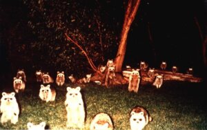 Rating: Safe Score: 0 Tags: ambiguous_gender creepy detailed_background e621 feral forest grandfathered_content group looking_at_viewer mammal outside plant procyonid raccoon real tree unknown_artist wood User: bunchy7s
