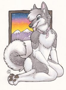 Rating: Safe Score: 0 Tags: 2008 anthro belly biped black_nose black_pawpads blondefoxy blue_eyes border canid canine canis chest_tuft claws collar collar_only domestic_dog e621 eyebrows feet female flat_chested fluffy fluffy_tail fur grey_body grey_fur grey_hair hair husky kneeling mammal marker_(artwork) mountain multicolored_body multicolored_fur naturally_censored night nordic_sled_dog nude open_mouth open_smile pawpads paws pen_(artwork) pink_tongue short_hair signature sky slim smile snow solo spitz star starry_sky sunset tail teeth tongue tongue_out traditional_media_(artwork) tuft two_tone_body two_tone_fur white_belly white_body white_border white_fur User: bunchy7s