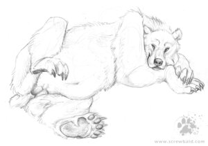 Rating: Explicit Score: 0 Tags: 2007 balls bear blotch claws e621 feet feral genitals greyscale hindpaw lying majik_bear_(character) male mammal monochrome pawpads paws playful_expression scratches_volume_1 simple_background sketch solo text traditional_media_(artwork) url white_background User: bunchy7s