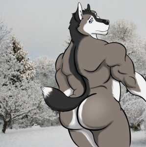 Rating: Questionable Score: 0 Tags: anthro butt canid canine canis domestic_dog e621 hi_res husky looking_at_viewer looking_back male mammal muscular muscular_anthro muscular_male nordic_sled_dog nude pose raised_tail solo spitz tail vamplust User: bunchy7s Rating: Questionable Score: 0 Tags: anthro butt canid canine canis domestic_dog e621 hi_res husky looking_at_viewer looking_back male mammal muscular muscular_anthro muscular_male nordic_sled_dog nude pose raised_tail solo spitz tail vamplust User: bunchy7s