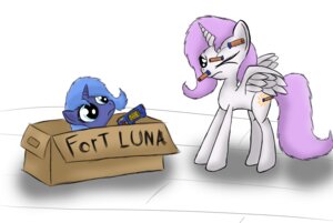 Rating: Safe Score: 0 Tags: 2012 box box_fort container cutie_mark duo e621 equid equine feathered_wings feathers female feral friendship_is_magic gun hair handgun hasbro horn in_box in_container long_hair mammal my_little_pony mythological_creature mythological_equine mythology nerf_(toy) nerf_blaster ninjapony pistol princess princess_celestia_(mlp) princess_luna_(mlp) quadruped ranged_weapon royalty sibling_(lore) sister_(lore) sisters_(lore) suction_cup tail toy toy_gun unicorn weapon winged_unicorn wings young young_feral User: bunchy7s