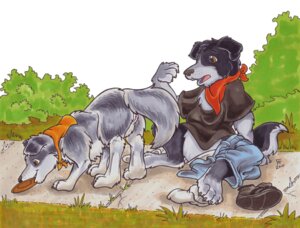 Rating: Explicit Score: 0 Tags: 2010 anthro black_body black_fur canid canine canis clothing domestic_dog duo e621 female feral flinters footwear frisbee frisbee_in_mouth fur genitals interspecies kerchief male mammal open_mouth outside quadruped shoes tail vulva User: bunchy7s