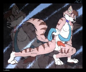 Rating: Explicit Score: 0 Tags: anthro canid canine canis collar e621 erection felid genitals leash male mammal pantherine penis solo stripes tail tiger wolf wolfehfur User: bunchy7s