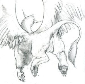 Rating: Explicit Score: 0 Tags: anus avian backsack balls beak butt e621 feathered_wings feathers feet feral genitals gryphon hindpaw male monochrome mythological_avian mythological_creature mythology paws raised_tail solo tail tail_anus unknown_artist wings User: bunchy7s